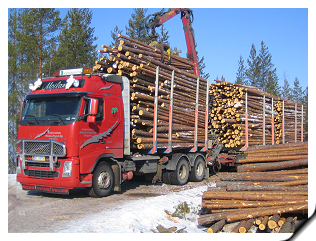 Puukuorma valmistumassa.